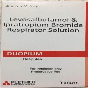 Vestibulum dapibus nunc ac augue nibh